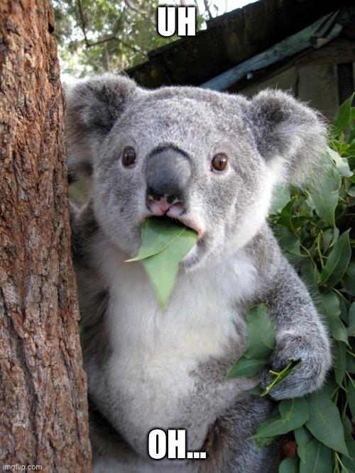 Uh Oh… | Uh; Oh… | image tagged in memes,surprised koala | made w/ Imgflip meme maker