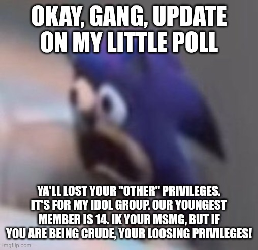 Tsk tsk tsk | Okay, gang, update on my little poll; Ya'll lost your "other" privileges. It's for my idol group. Our youngest member is 14. Ik your msmg, but if you are being crude, your loosing privileges! | image tagged in traumatised sonic | made w/ Imgflip meme maker
