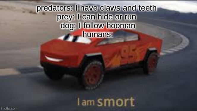 I am smort | predators: I have claws and teeth 
prey: I can hide or run 
dog: I follow hooman
humans: | image tagged in i am smort | made w/ Imgflip meme maker