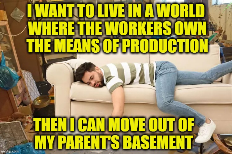 More Leftist Logic | I want to live in a world 
where the workers own
the means of production; then I can move out of
my parent's basement | image tagged in leftists | made w/ Imgflip meme maker