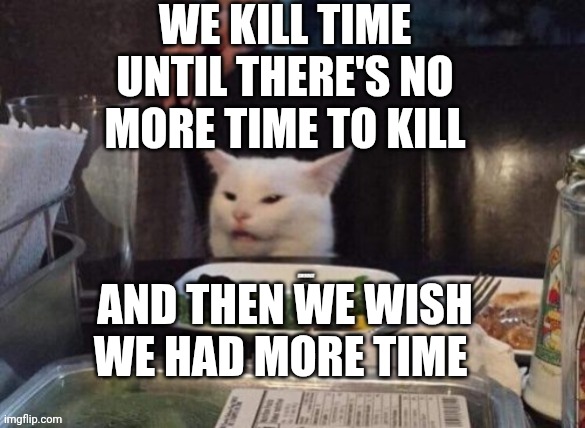 Smudge that darn cat | We kill time until there's no more time to kill; And then we wish we had more time | image tagged in smudge that darn cat | made w/ Imgflip meme maker