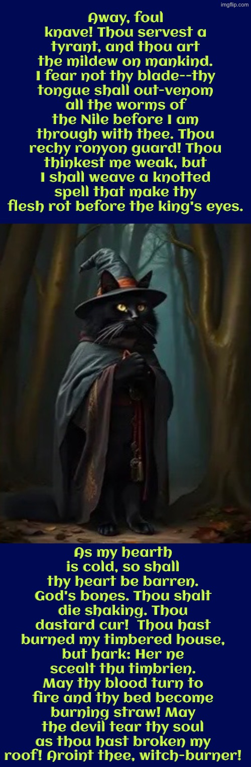 Aroint Thee, Witch-Burner | Away, foul knave! Thou servest a tyrant, and thou art the mildew on mankind. I fear not thy blade--thy tongue shall out-venom all the worms of the Nile before I am through with thee. Thou rechy ronyon guard! Thou thinkest me weak, but I shall weave a knotted spell that make thy flesh rot before the king's eyes. As my hearth is cold, so shall thy heart be barren. God's bones. Thou shalt die shaking. Thou dastard cur!  Thou hast burned my timbered house, but hark: Her ne scealt thu timbrien. May thy blood turn to fire and thy bed become burning straw! May the devil tear thy soul as thou hast broken my roof! Aroint thee, witch-burner! | image tagged in cats,medieval memes,witches,insults,guard,burning | made w/ Imgflip meme maker