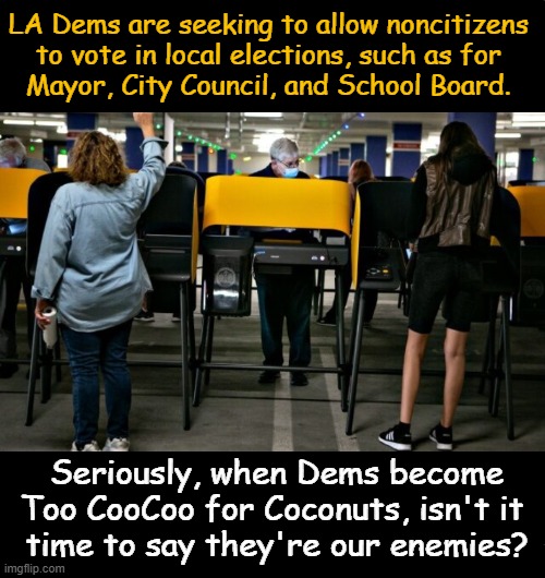 Next, they will allow 5th graders to vote as they will be the only ones dumb enough to vote for Democrats | LA Dems are seeking to allow noncitizens 
to vote in local elections, such as for 
Mayor, City Council, and School Board. Seriously, when Dems become
Too CooCoo for Coconuts, isn't it 
time to say they're our enemies? | image tagged in i see what you did there,democrats,illegals,vote,good vs evil,political humor | made w/ Imgflip meme maker