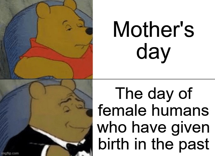 That's what they call in in England | Mother's day; The day of female humans who have given birth in the past | image tagged in memes,tuxedo winnie the pooh,funny,winnie the pooh,england,mothers day | made w/ Imgflip meme maker