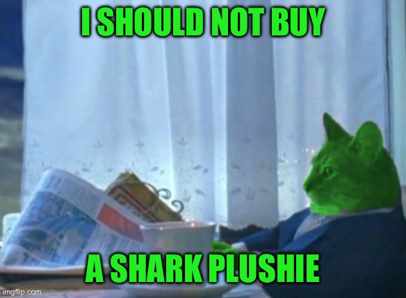 I Should Buy a Boat RayCat | I should not buy; A shark plushie | image tagged in i should buy a boat raycat | made w/ Imgflip meme maker