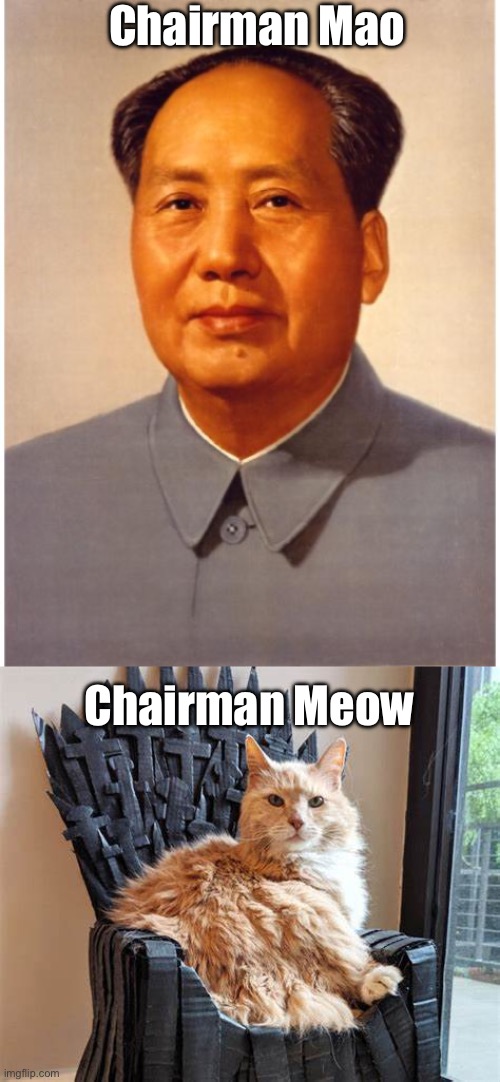 Dictators | Chairman Mao; Chairman Meow | image tagged in chairman mao,cat on throne,dictator,bad pun | made w/ Imgflip meme maker