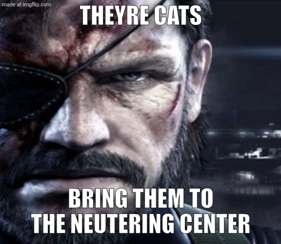 Solid Snake Staring | Theyre cats Bring them to the neutering center | image tagged in solid snake staring | made w/ Imgflip meme maker