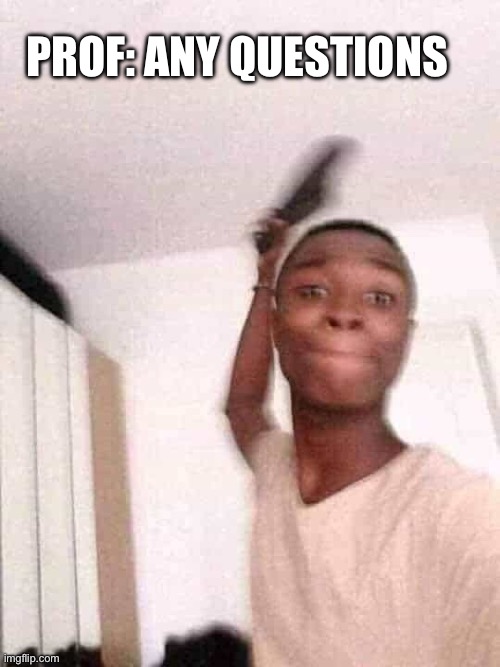 Guy slapping with flip flops | Prof: any questions | image tagged in guy slapping with flip flops | made w/ Imgflip meme maker