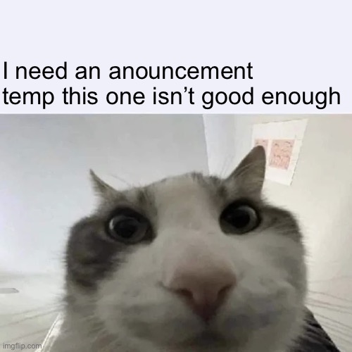 green text cat | I need an anouncement temp this one isn’t good enough | image tagged in green text cat | made w/ Imgflip meme maker