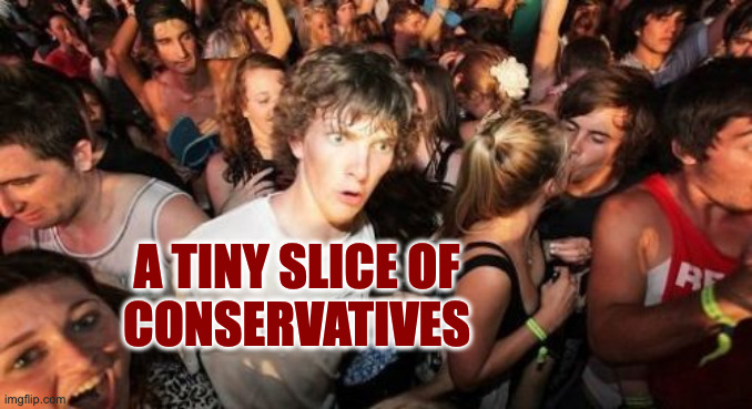 Sudden Clarity Clarence Meme | a tiny slice of
conservatives | image tagged in memes,sudden clarity clarence | made w/ Imgflip meme maker