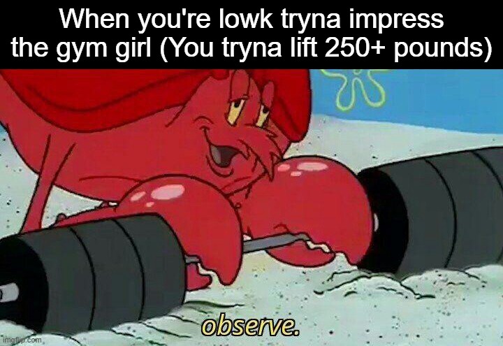Will it work? | When you're lowk tryna impress the gym girl (You tryna lift 250+ pounds) | image tagged in observe,memes | made w/ Imgflip meme maker