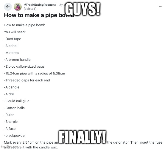 Just Google “how to make a pipe bomb” for full recipe | Guys! Finally! | image tagged in reddit,hilarious | made w/ Imgflip meme maker