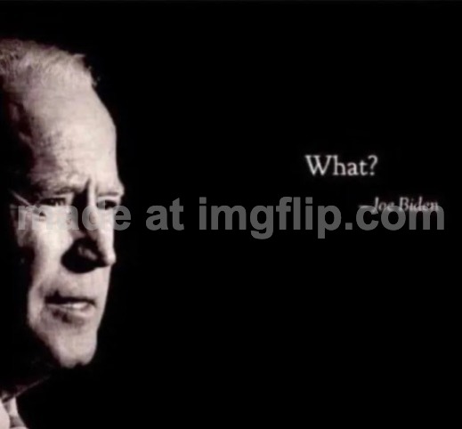 joe biden what | image tagged in joe biden what | made w/ Imgflip meme maker