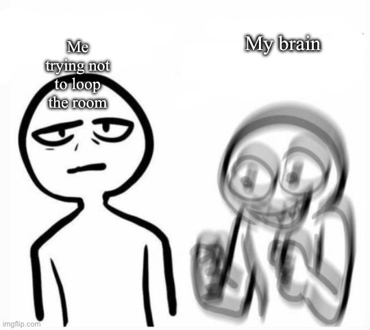 calm v excited | My brain; Me trying not to loop the room | image tagged in calm v excited | made w/ Imgflip meme maker