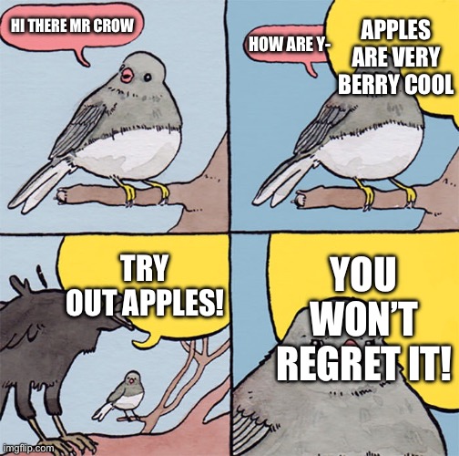 Interrupting bird | Apples are very berry cool; Hi there Mr crow; How are y-; You won’t regret it! Try out apples! | image tagged in interrupting bird | made w/ Imgflip meme maker