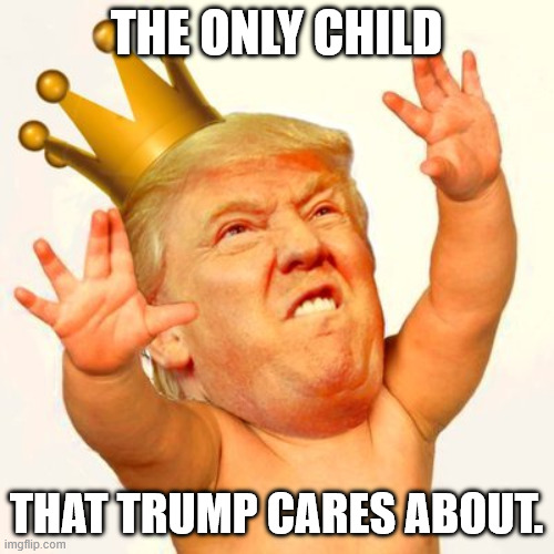 the only child that trump cares about. | image tagged in trump baby w/ crown | made w/ Imgflip meme maker