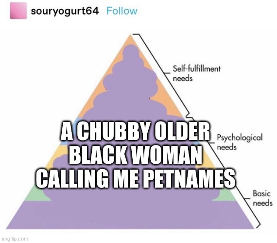 I am WHITE, I am SO WHITE, but I NEED THIS | a chubby older black woman calling me petnames | image tagged in needs pyramid | made w/ Imgflip meme maker