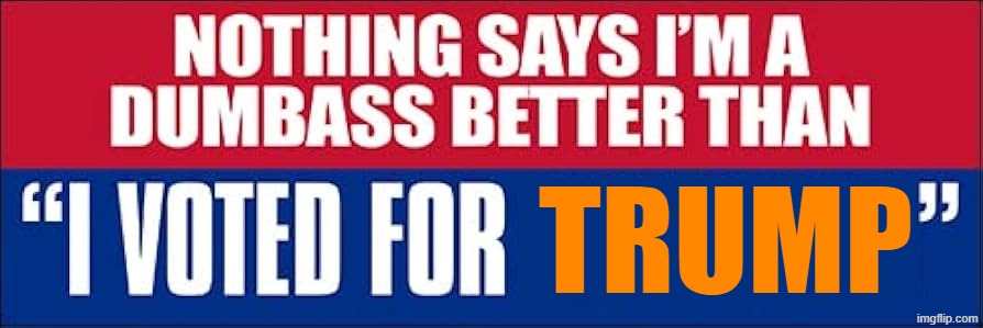 NOTHING SAYS IT BETTER | TRUMP | image tagged in trump,melania trump,i'm the dumbest man alive,dumbass,dumb,memes | made w/ Imgflip meme maker