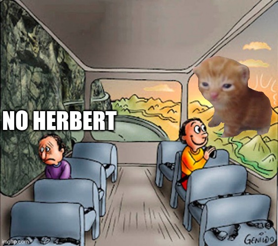 yes | no herbert | image tagged in sad guy happy guy bus,herbert | made w/ Imgflip meme maker