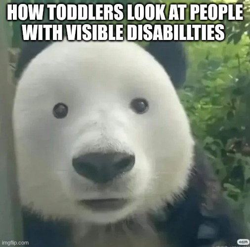 yes | how toddlers look at people with visible disabillties | image tagged in panda,yes | made w/ Imgflip meme maker