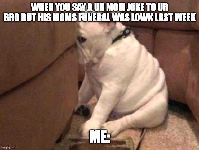 Guilty dog | When you say a ur mom joke to ur bro but his moms funeral was lowk last week; me: | image tagged in guilty dog | made w/ Imgflip meme maker