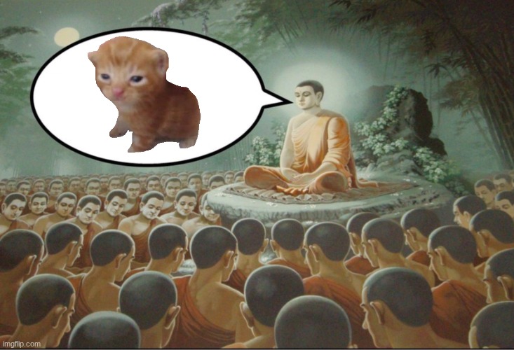 herbert | image tagged in buddha teaching followers,herbert | made w/ Imgflip meme maker