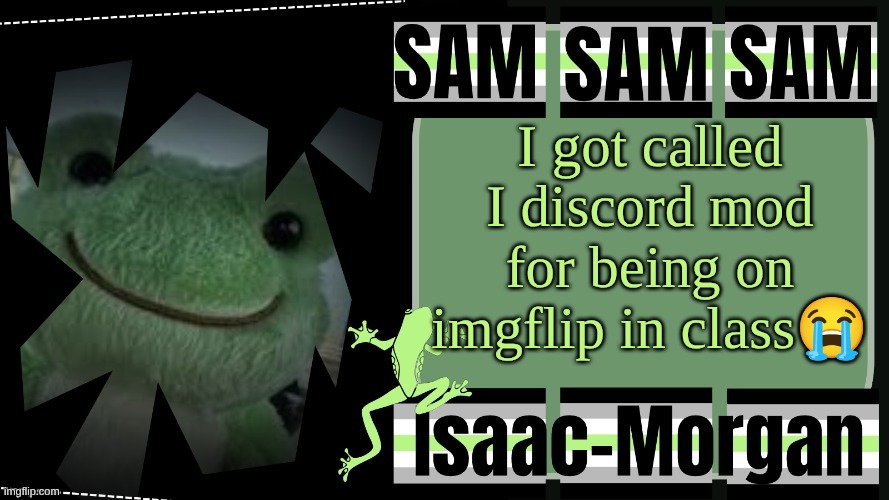 sam's fav frog temp | I got called I discord mod for being on imgflip in class😭 | image tagged in sam's fav frog temp | made w/ Imgflip meme maker