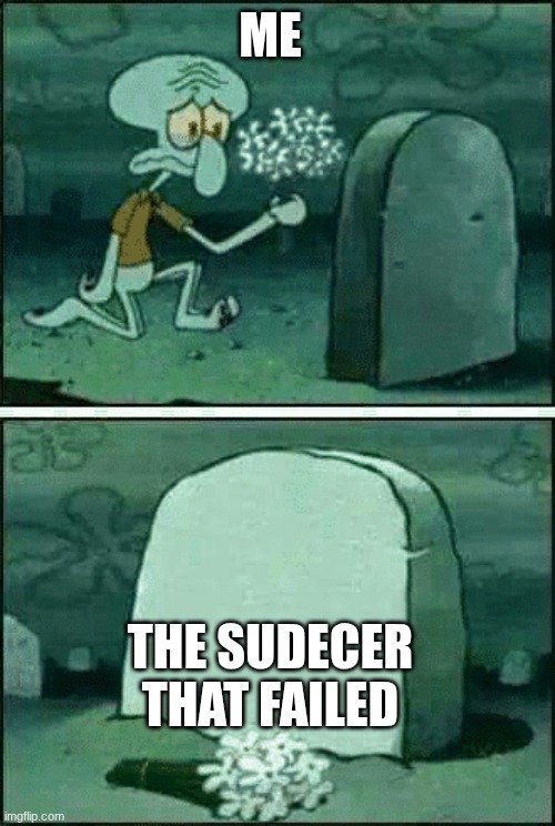 Rip | me; the sudecer that failed | image tagged in rip | made w/ Imgflip meme maker