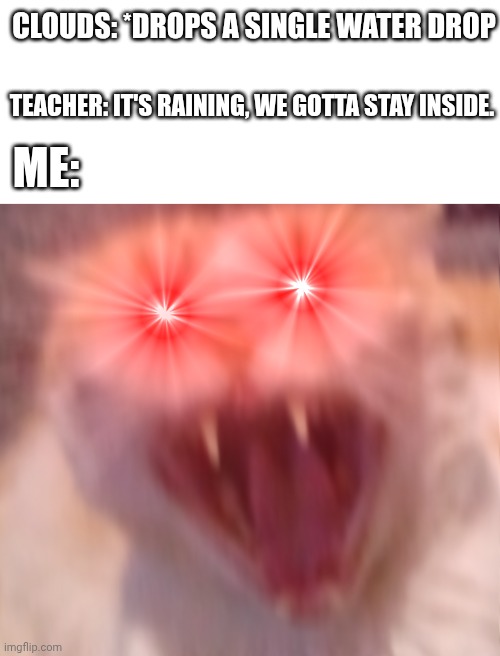 Angry cat | Clouds: *Drops a single water drop; Teacher: it's raining, we gotta stay inside. Me: | image tagged in angry cat | made w/ Imgflip meme maker
