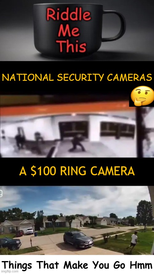 Well? | National security cameras; A $100 ring camera; Things That Make You Go Hmm | image tagged in question,odd,what if i told you,excuse me what the heck,relatable memes,well | made w/ Imgflip meme maker