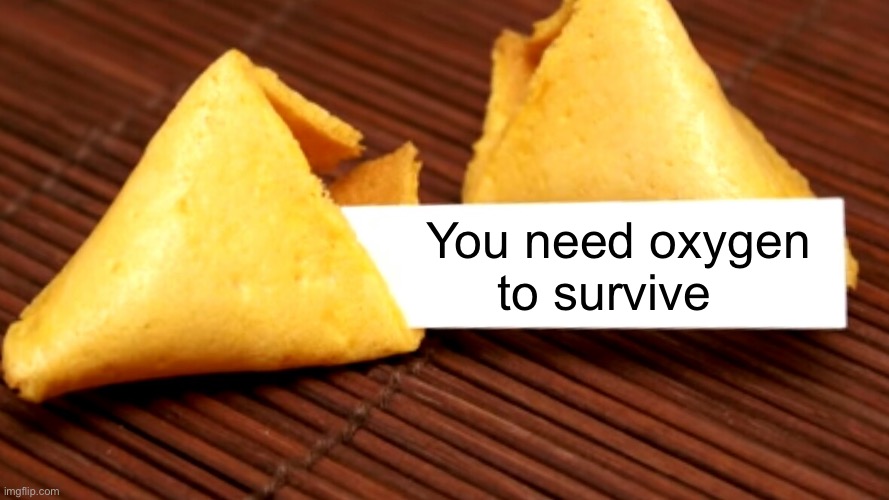 Philosophy 101 | You need oxygen to survive | image tagged in fortune cookie,memes | made w/ Imgflip meme maker