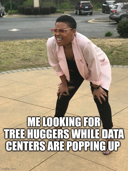 Black woman squinting | Me looking for tree huggers while data centers are popping up | image tagged in black woman squinting | made w/ Imgflip meme maker