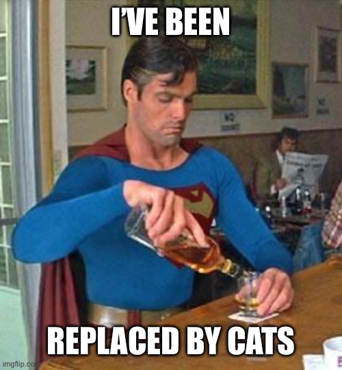 Drunk Superman | I’ve been Replaced by cats | image tagged in drunk superman | made w/ Imgflip meme maker
