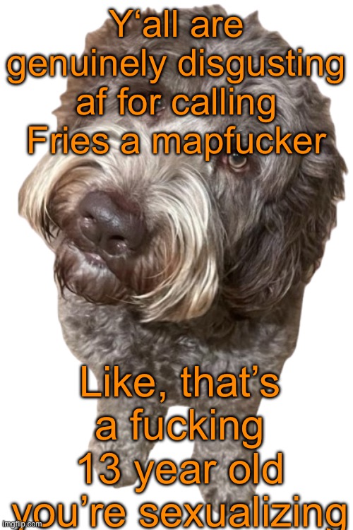 From now on, I will ban everyone calling Fries a mapfucker for 8 hours. The bans will increase with every repetition. | Y‘all are genuinely disgusting af for calling Fries a mapfucker; Like, that’s a fucking 13 year old you’re sexualizing | image tagged in northers dog transparent | made w/ Imgflip meme maker