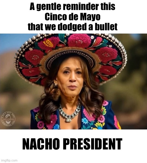 KamMex | A gentle reminder this 
Cinco de Mayo 
that we dodged a bullet; NACHO PRESIDENT | image tagged in kammex | made w/ Imgflip meme maker