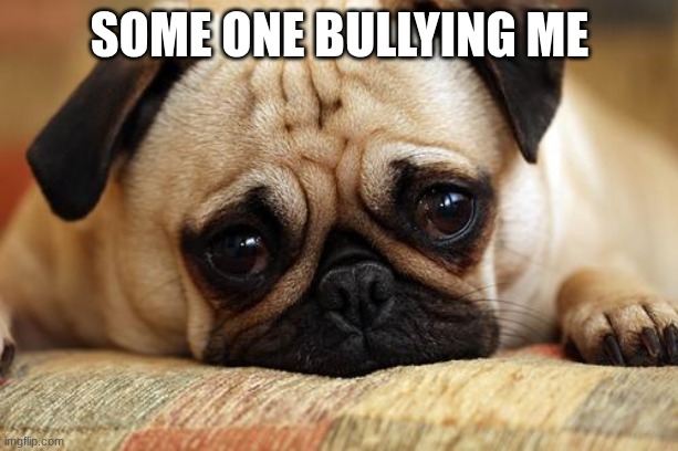 sad pug | some one bullying me | image tagged in sad pug | made w/ Imgflip meme maker