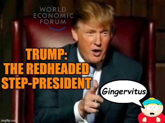 Donald Trump | Trump:
The redheaded
step-president; Gingervitus | image tagged in donald trump | made w/ Imgflip meme maker