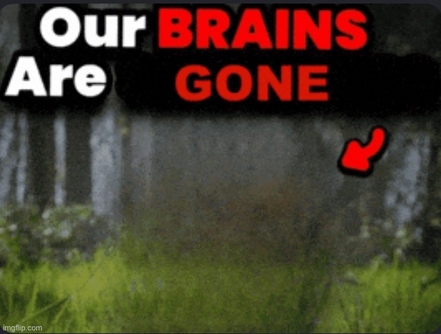 Now Garfieldfan is just straight up lying about being banned | image tagged in our brains are gone | made w/ Imgflip meme maker