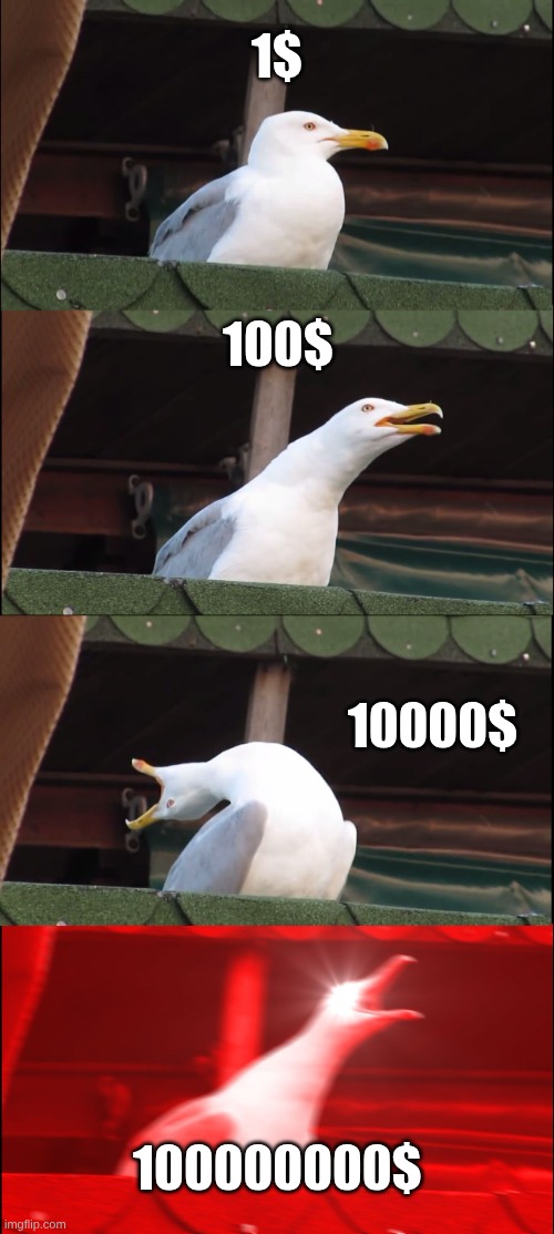 MONAY | 1$; 100$; 10000$; 100000000$ | image tagged in memes,inhaling seagull | made w/ Imgflip meme maker