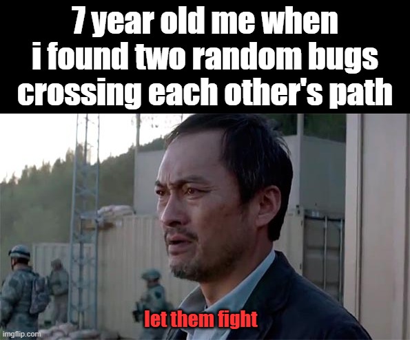 they shall fight till death | 7 year old me when i found two random bugs crossing each other's path; let them fight | image tagged in ken watenabe let them fight | made w/ Imgflip meme maker