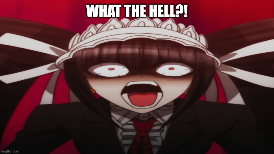 Celestian Ludenberger | What the hell?! | image tagged in celestian ludenberger | made w/ Imgflip meme maker