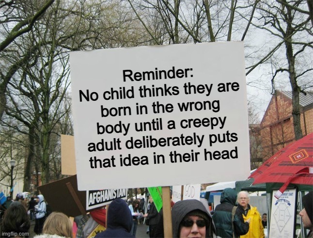 100% | Reminder:
No child thinks they are born in the wrong body until a creepy adult deliberately puts that idea in their head | image tagged in blank protest sign,memes,funny,politics,political meme,transgender | made w/ Imgflip meme maker