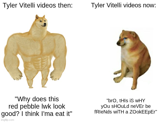 Overall, I like his content but still | Tyler Vitelli videos then:; Tyler Vitelli videos now:; "Why does this red pebble lwk look good? I think I'ma eat it"; "brO, tHIs iS wHY yOu sHOuLd neVEr be fRIeNds wiTH a ZOokEEpEr" | image tagged in memes,buff doge vs cheems | made w/ Imgflip meme maker