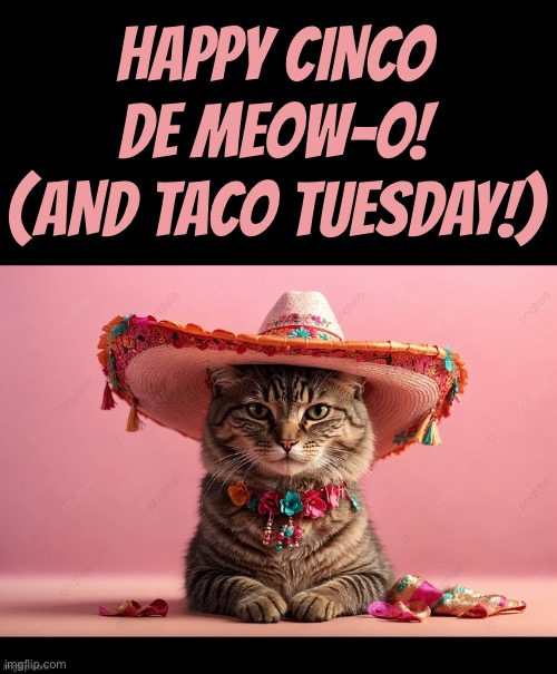 Cats love Cinco de Meow-o! | Happy cinco de meow-o!
(And taco Tuesday!) | image tagged in cats,cinco de mayo,taco tuesday,sombrero,2026,festive | made w/ Imgflip meme maker