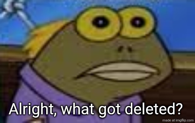 Tom Blank Stare | Alright, what got deleted? | image tagged in tom blank stare | made w/ Imgflip meme maker