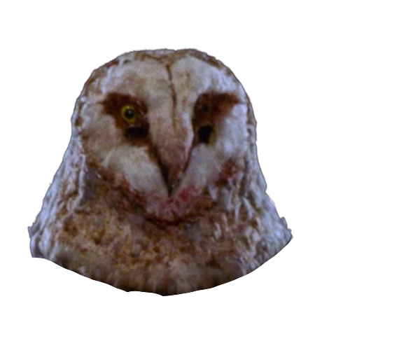 Irving Wallace's Owl Mask Blank Meme Template