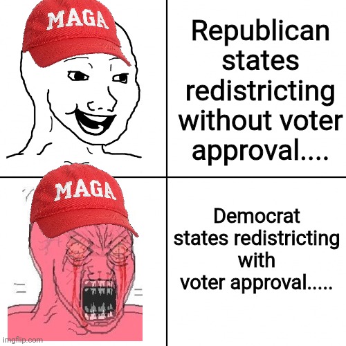 The ones whining about Kamala | Republican states redistricting without voter approval.... Democrat states redistricting with voter approval..... | image tagged in donald trump,trump,maga,nevertrump,conservative,trump supporter | made w/ Imgflip meme maker