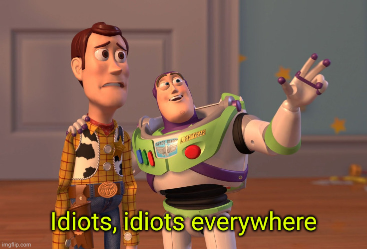 X, X Everywhere Meme | Idiots, idiots everywhere | image tagged in memes,x x everywhere | made w/ Imgflip meme maker