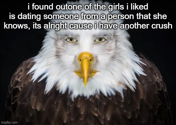 Bald Eagle Stare | i found outone of the girls i liked is dating someone from a person that she knows, its alright cause i have another crush | image tagged in bald eagle stare | made w/ Imgflip meme maker