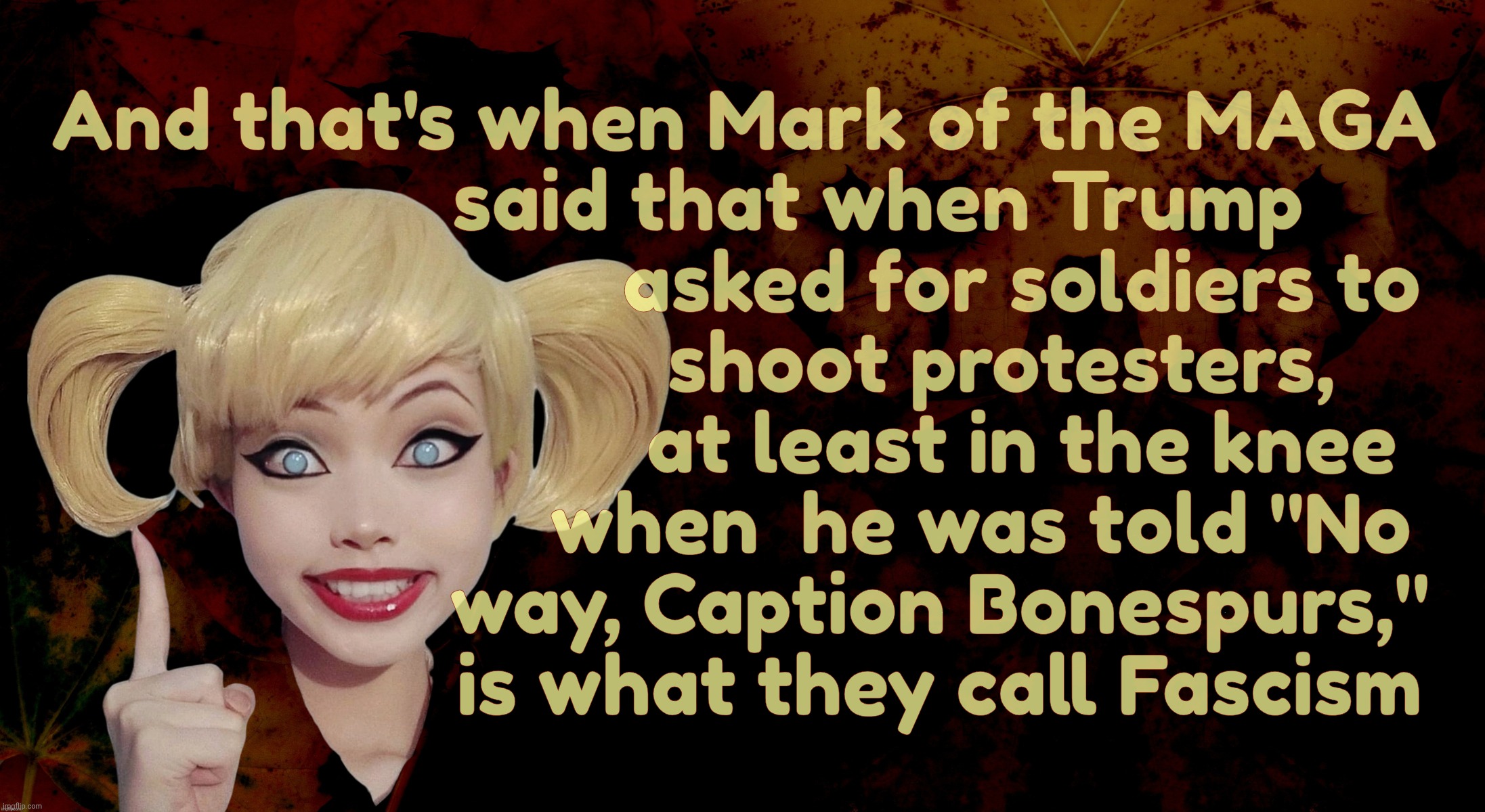Harley Quinn | And that's when Mark of the MAGA
             said that when Trump
                           asked for soldiers to
                         | image tagged in harley quinn | made w/ Imgflip meme maker